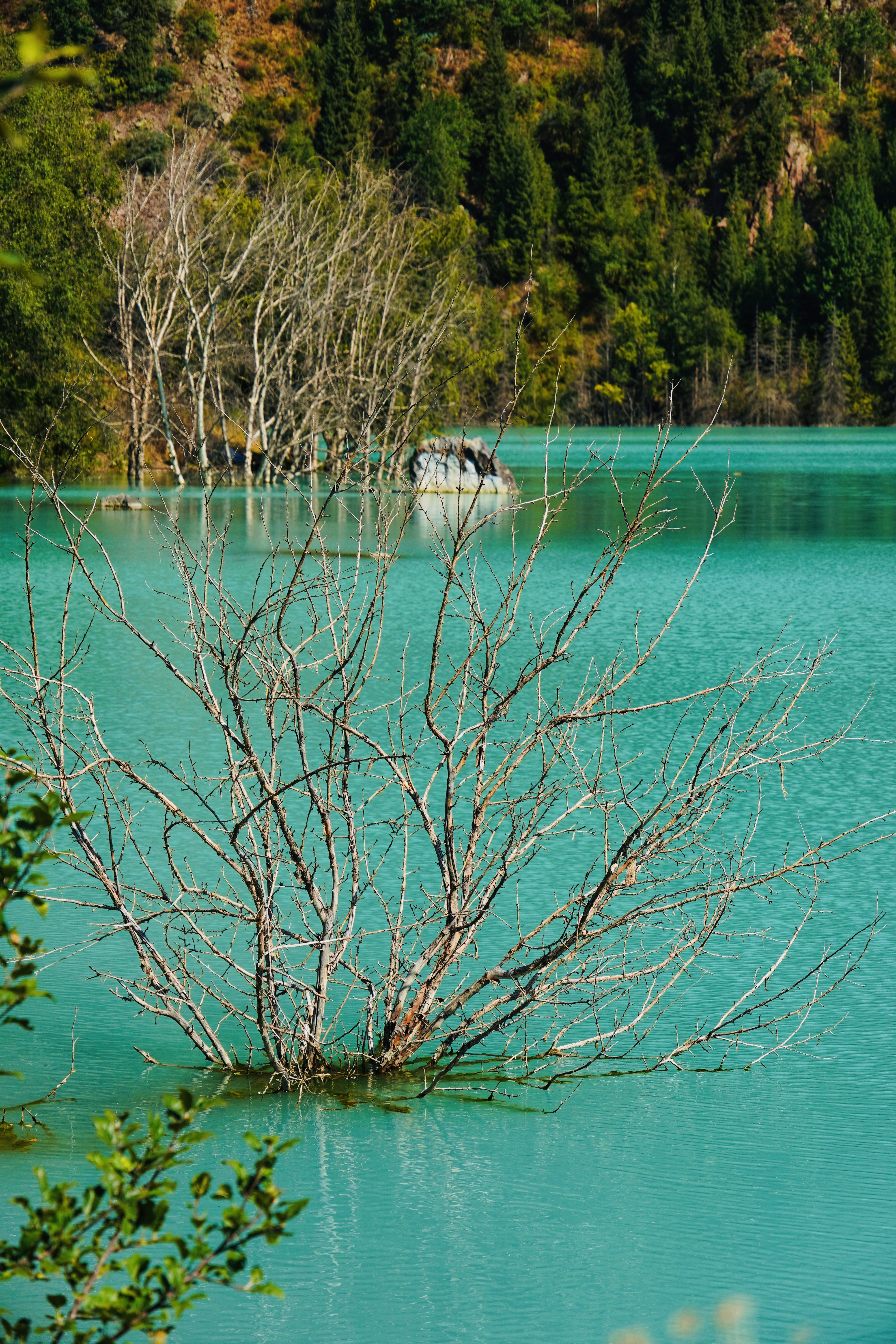 阿拉木图周边地区