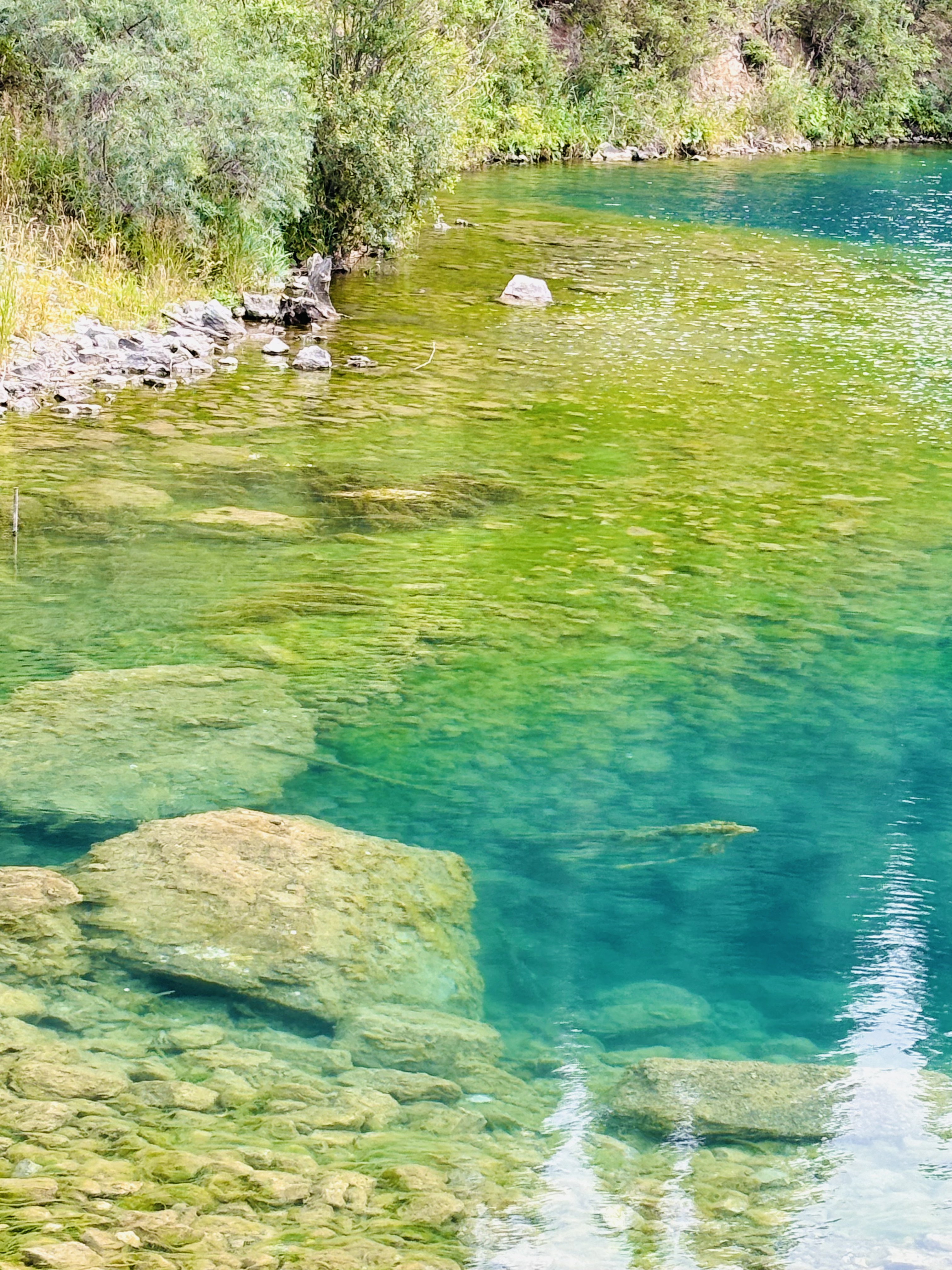阿拉木图周边地区
