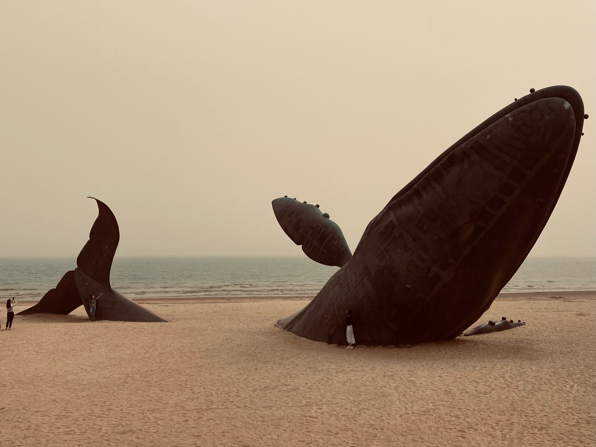 烟台 · 孤独的鲸